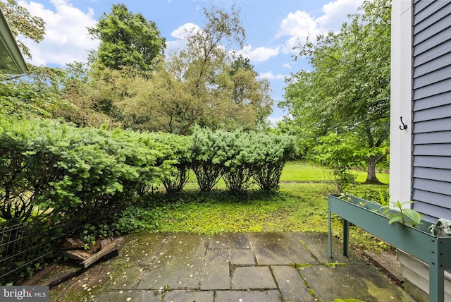 8 Railroad Pl, Pennington, NJ 08534 - view of yard with a patio