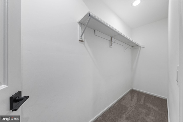 8 Railroad Pl, Pennington, NJ 08534 - walk in closet with carpet flooring