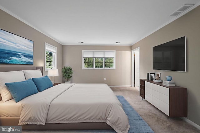 8 Railroad Pl, Pennington, NJ 08534 - bedroom with light carpet and crown molding