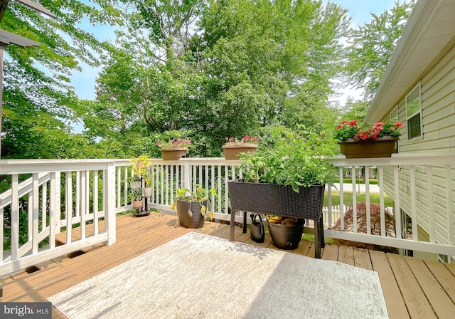 26055 Prospect Hill Rd, Mechanicsville, MD 20659 - view of deck