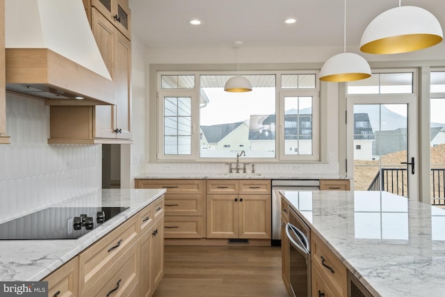 135 Radnor Ct, Rockingham, VA 22801 - kitchen with premium range hood, a sink, appliances with stainless steel finishes, healthy amount of natural light, and recessed lighting