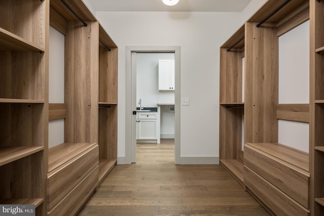 135 Radnor Ct, Rockingham, VA 22801 - spacious closet with light wood finished floors and a sink