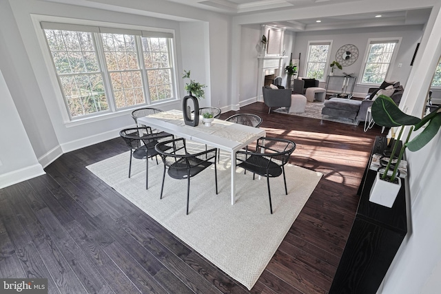 1637 Cold Bottom Rd, Sparks Glencoe, MD 21152 - dining room featuring baseboards, dark wood finished floors, and a fireplace