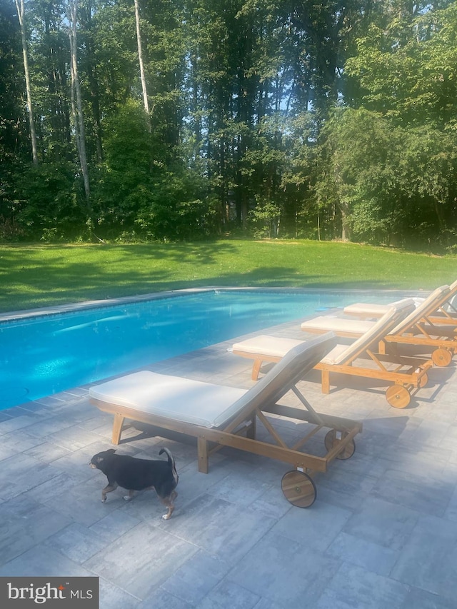 1637 Cold Bottom Rd, Sparks Glencoe, MD 21152 - outdoor pool featuring a patio area and a lawn