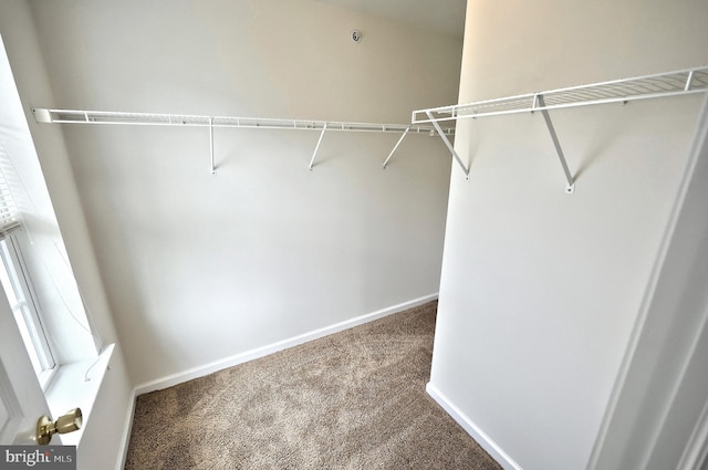 2236 Live Oak Ln Unit 2236, York, PA 17406