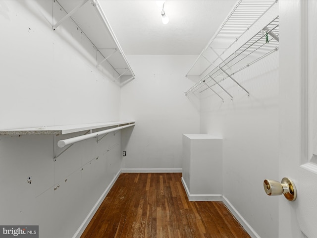 310 Bethel Rd, Paw Paw, WV 25434 - spacious closet featuring hardwood / wood-style floors