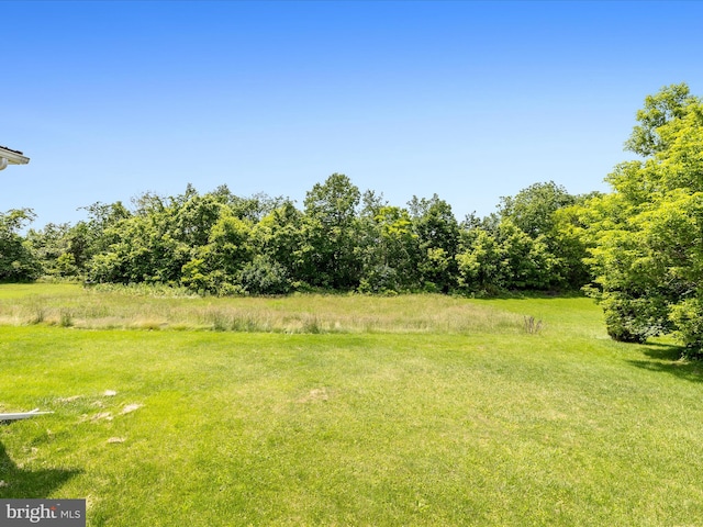 310 Bethel Rd, Paw Paw, WV 25434 - view of yard