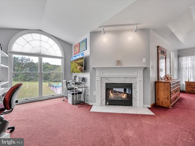 1353 Stag Dr, Auburn, PA 17922 - carpeted office featuring rail lighting, lofted ceiling, and a premium fireplace