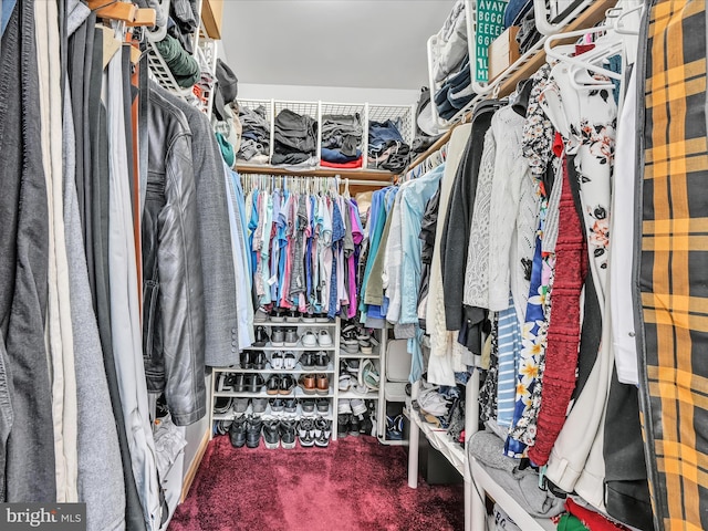 1353 Stag Dr, Auburn, PA 17922 - spacious closet featuring carpet