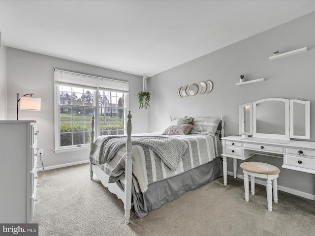 1353 Stag Dr, Auburn, PA 17922 - carpeted bedroom with baseboards