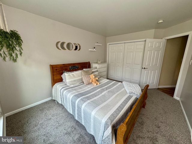 1353 Stag Dr, Auburn, PA 17922 - bedroom featuring carpet, baseboards, and a closet