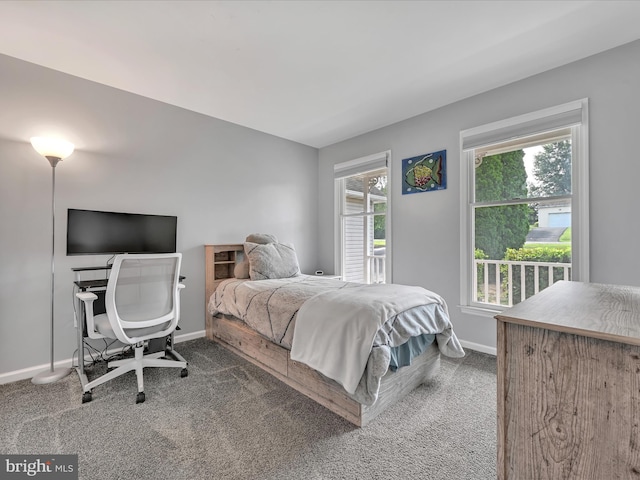 1353 Stag Dr, Auburn, PA 17922 - carpeted bedroom with baseboards