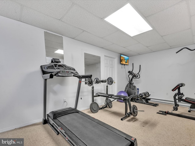 1353 Stag Dr, Auburn, PA 17922 - exercise room featuring a drop ceiling, light carpet, and baseboards