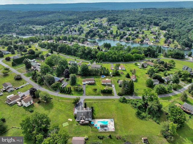 1353 Stag Dr, Auburn, PA 17922 - aerial view of a large body of water and a heavily wooded area