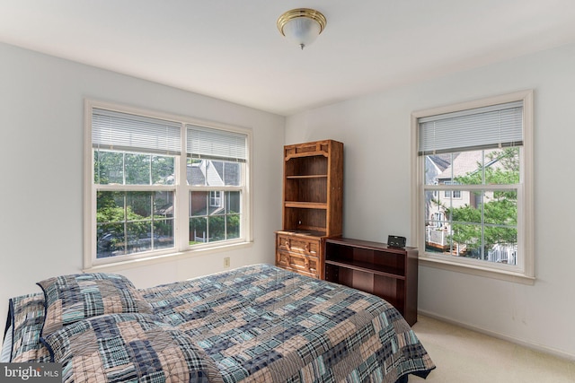197 Victoria Ct, Doylestown, PA 18901 - bedroom featuring multiple windows and light colored carpet