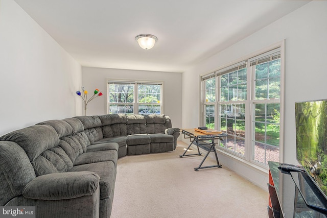 197 Victoria Ct, Doylestown, PA 18901 - view of carpeted living area