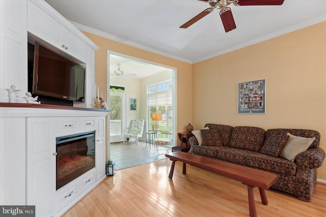 151 Lattice Ln, Collegeville, PA 19426 - living room featuring ceiling fan, crown molding, light wood-style flooring, and a glass covered fireplace