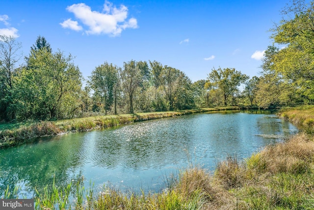 35175 Snickersville Tpke, Round Hill, VA 20141 - water view with a forest