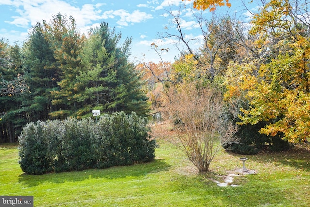 35175 Snickersville Tpke, Round Hill, VA 20141 - view of grassy yard