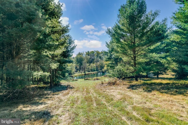 35175 Snickersville Tpke, Round Hill, VA 20141 - view of yard with a water view