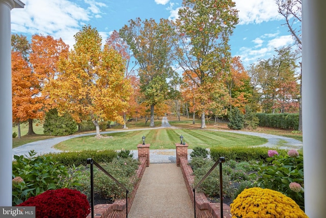 35175 Snickersville Tpke, Round Hill, VA 20141 - view of grassy yard