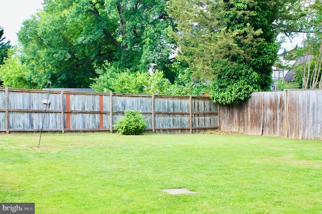 2907 Summerfield Rd, Falls Church, VA 22042 - view of yard