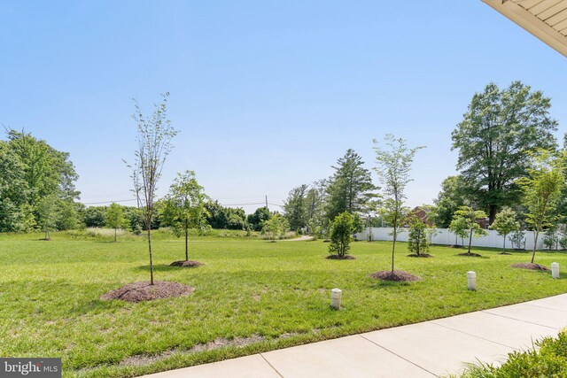 5504 Lanteen St, Lanham, MD 20706 - view of yard