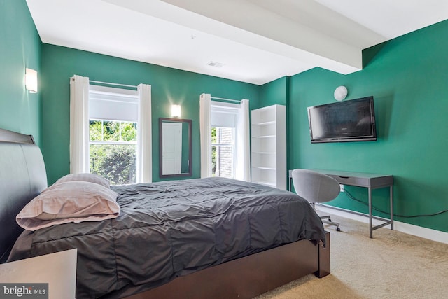 9726 Knowledge Dr, Laurel, MD 20723 - carpeted bedroom with multiple windows and baseboards
