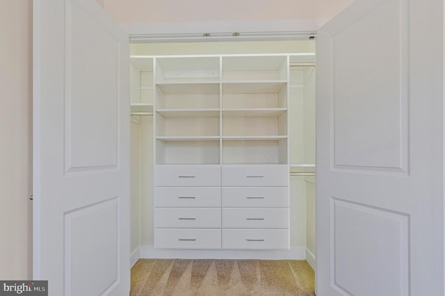 9726 Knowledge Dr, Laurel, MD 20723 - view of closet