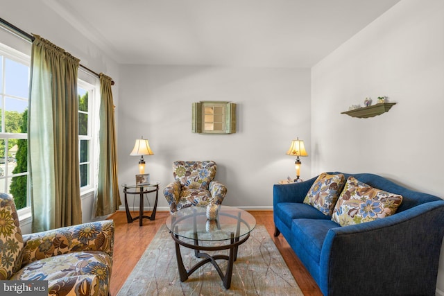 3611 Cogswell Ct, Abingdon, MD 21009 - living area featuring wood finished floors and baseboards