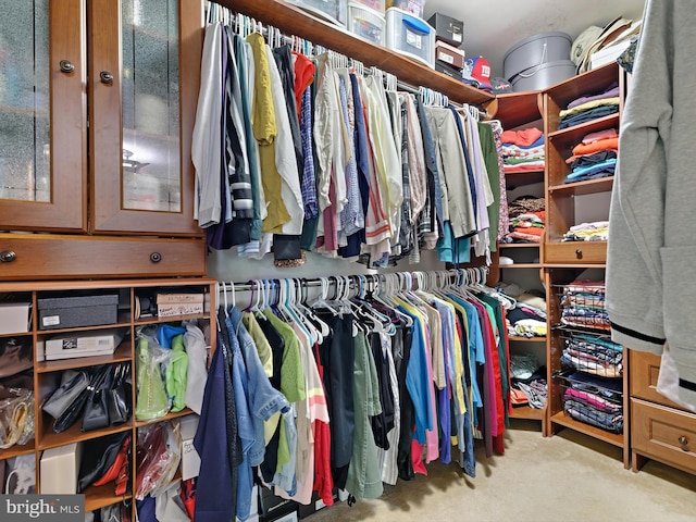 15446 Symondsbury Way, Upper Marlboro, MD 20774 - walk in closet featuring carpet floors
