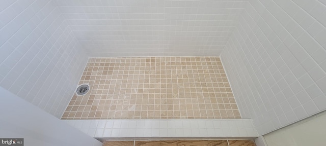 3063 Joyce St, Philadelphia, PA 19134 - bathroom view of a tile shower