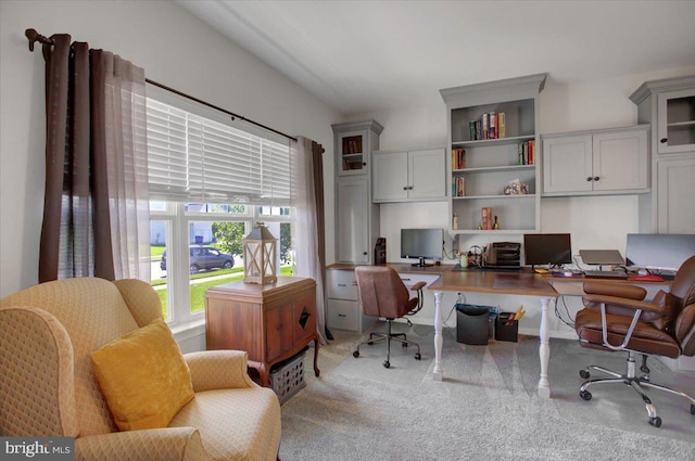 21 Bayberry Rd, Carlisle, PA 17013 - view of carpeted home office