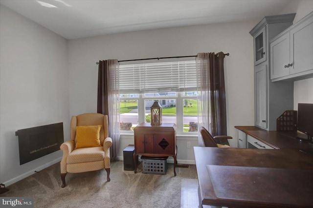 21 Bayberry Rd, Carlisle, PA 17013 - carpeted office space featuring baseboards