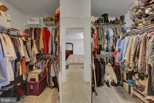 21 Bayberry Rd, Carlisle, PA 17013 - spacious closet with carpet floors