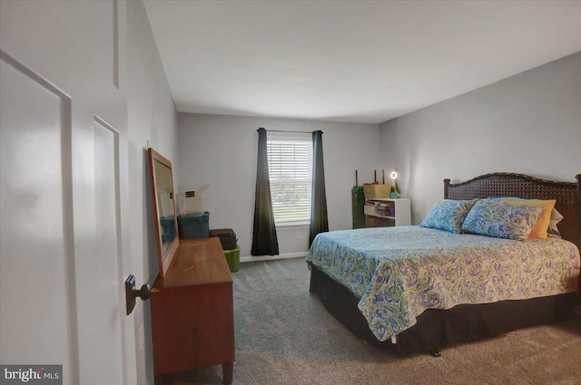 21 Bayberry Rd, Carlisle, PA 17013 - bedroom featuring carpet