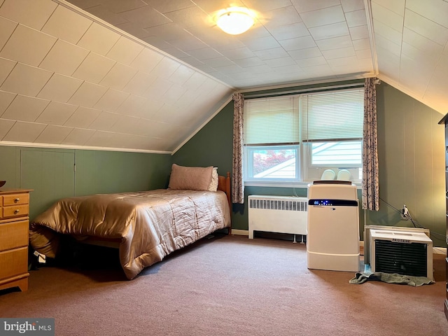 838 N Hanover St, Pottstown, PA 19464 - carpeted bedroom featuring radiator and vaulted ceiling