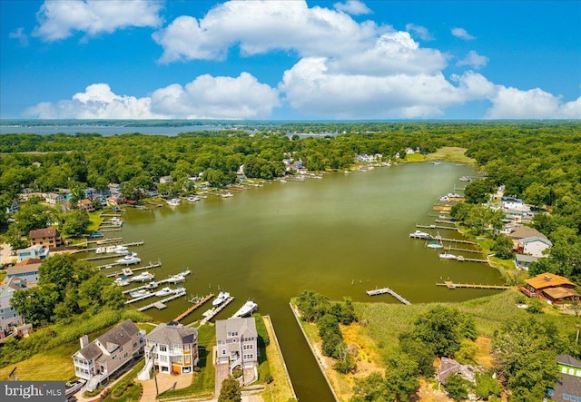 1323 Washington Dr, Annapolis, MD 21403 - bird's eye view of a nearby body of water and a forest