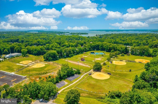 1323 Washington Dr, Annapolis, MD 21403 - drone / aerial view of a forest and a nearby body of water