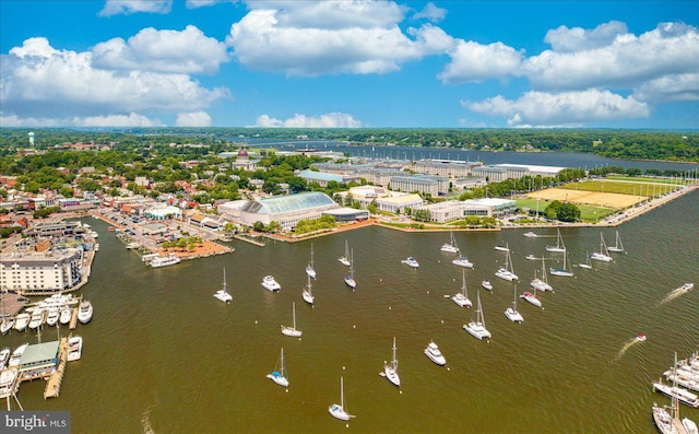 1323 Washington Dr, Annapolis, MD 21403 - drone / aerial view of a large body of water