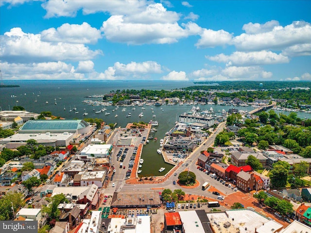 1323 Washington Dr, Annapolis, MD 21403 - aerial view of a large body of water