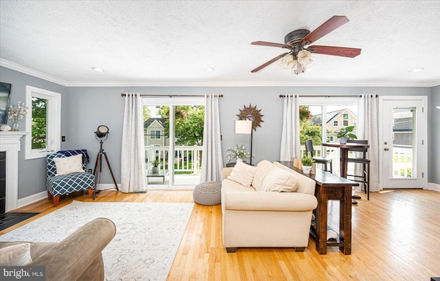 1323 Washington Dr, Annapolis, MD 21403 - living room featuring healthy amount of natural light, wood finished floors, ornamental molding, baseboards, and a textured ceiling