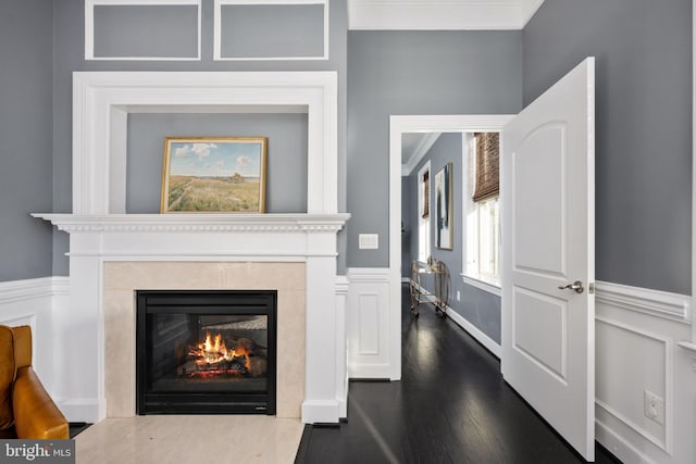 1200 Prince Edward St, Fredericksburg, VA 22401 - living area with a high end fireplace, dark wood-type flooring, and a wainscoted wall