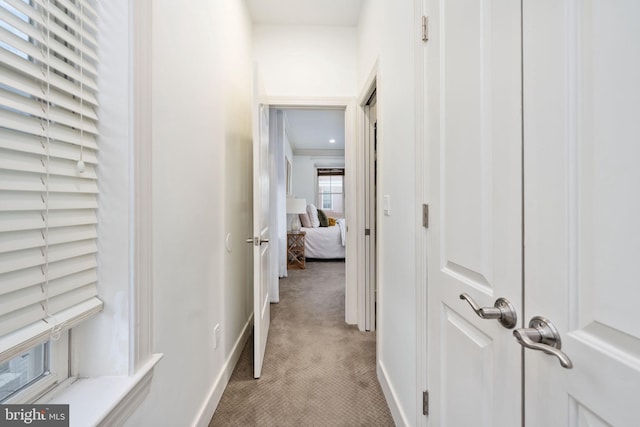 1200 Prince Edward St, Fredericksburg, VA 22401 - hallway featuring light colored carpet and baseboards
