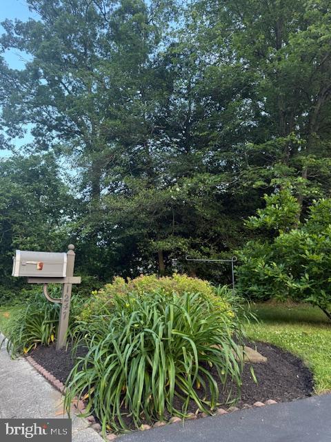 1247 Silver Run Dr, Pasadena, MD 21122 - exterior view