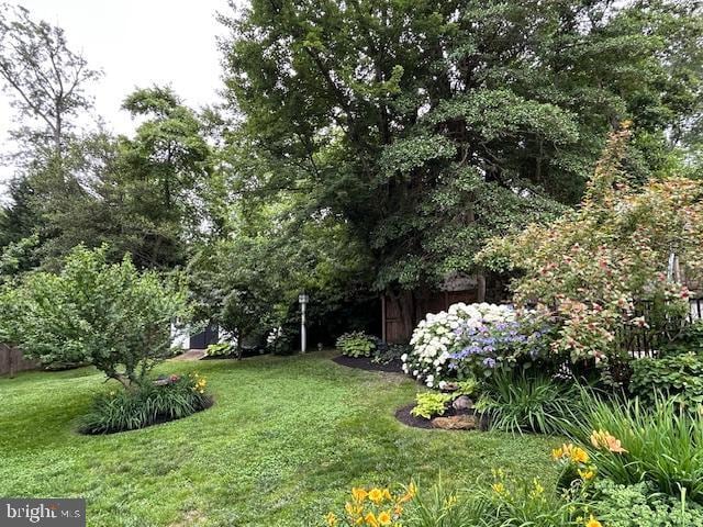 1247 Silver Run Dr, Pasadena, MD 21122 - view of yard