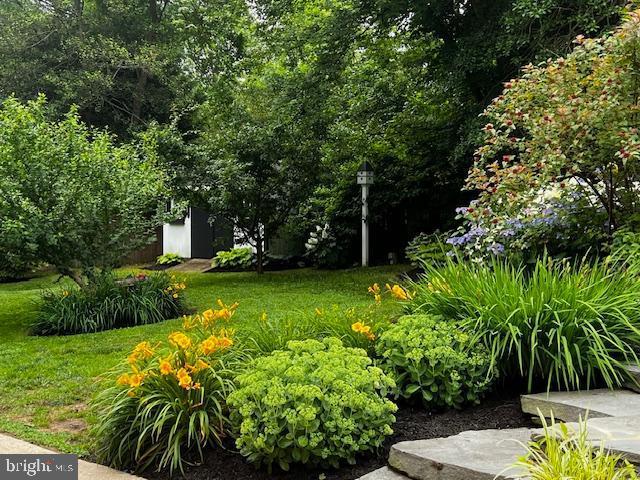 1247 Silver Run Dr, Pasadena, MD 21122 - view of grassy yard