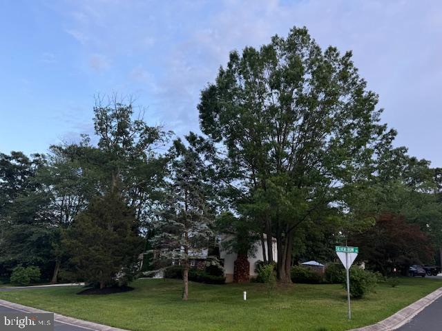 1247 Silver Run Dr, Pasadena, MD 21122 - view of property hidden behind natural elements with a front lawn