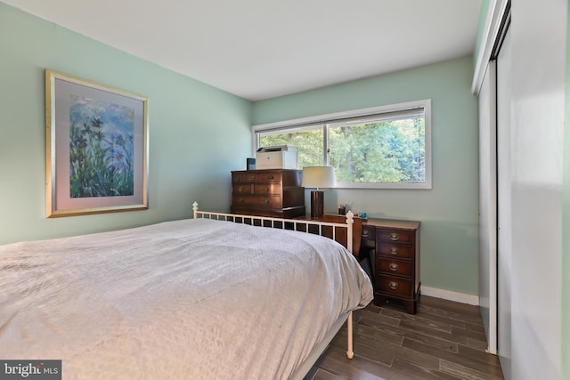 1004 Mercer Rd, Princeton, NJ 08540 - bedroom with dark wood finished floors, a closet, and baseboards