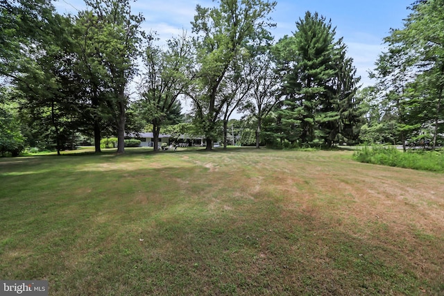 1004 Mercer Rd, Princeton, NJ 08540 - view of grassy yard